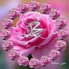 user39185152127257