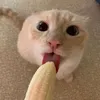suppaxnop