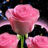 kathy.antoine3