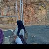 saripah6463