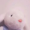 lmtop74