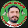 kabotar.parwarvlog