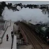 whistontrains