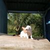 irma.sihotang3