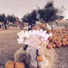 lilysgoldy