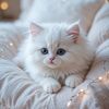 beautifulanimals_8