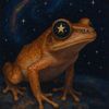 starrqnbnih