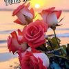 user3119581912329