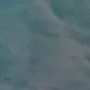.haidyn04