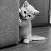 dasha._283