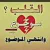 user8393478486979