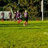 daybird_23