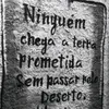 1.4anemico