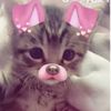 defnot_isa10
