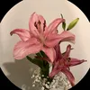 44_jj8