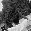 chemzy.stoner