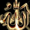 .amir.lotfl