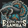 exotic.pets.samba