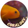 coralogy_
