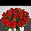 marielitagp885