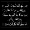 hossam.eletmany8