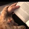 princessreads7