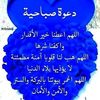 nagma.albahr