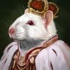 rat.king72