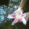 love.m.e.now