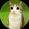 mr_cocoff18