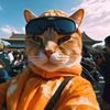 good_cat89
