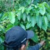 cipto6878