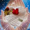 wll___mumin