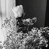 theonly_sasi