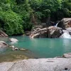 tp.dao.doi
