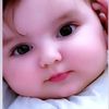 rose_petal_09