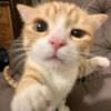 miwaaaww__