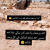 user92949858497092