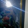 alim_foryouu