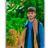 حاجی تنها صاحب