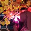 rahid_boy_