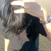 lrouyu_._0