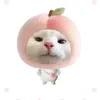 ume_coanh