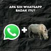 kingg_kongg