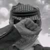 abo_bdr11