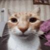 usero3kambvw64
