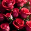 rawaneayoub961