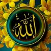 maher.pk512