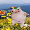 .hii_hello