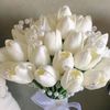 www.gulimm